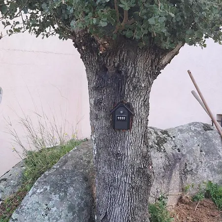 Neuf Dans Hameau Proche Vecchio Lejlighed Porto-Vecchio (Corsica)